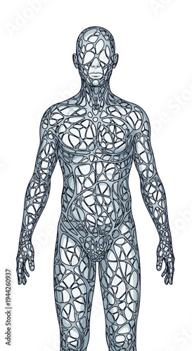 Wireframe Human Body Anatomy Illustration.