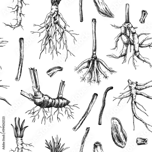 Medicinal roots seamless pattern. Herbal ingredients hand drawn vector illustration. Vintage apothecary background. NOT AI generated