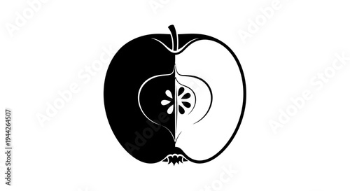 vector illustration of an apple isolated on white