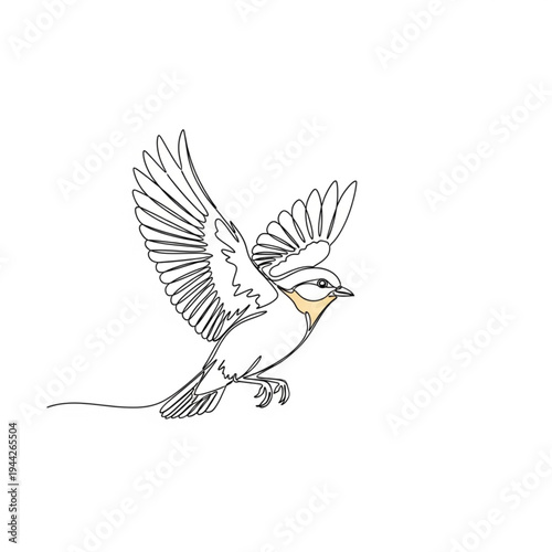 Bird in Flight with Outstretched Wings Illustration.
