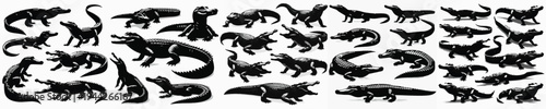 Vector set image silhouette of crocodile