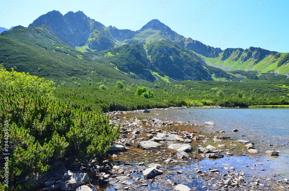 Fototapeta premium Mountain landscape background on a sunny summer day, featuring clear blue sky, bright sunlight, and natural scenery with rolling hills and distant peaks. The image captures a peaceful atmosphere