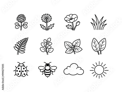 wild meadow plants. Line outline icon set of wild meadow plants: clover flower, dandelion, poppy bloom, grass