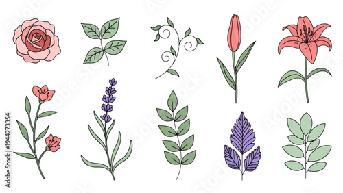 The illustration shows various flowers and leaves on a white background with green stems.