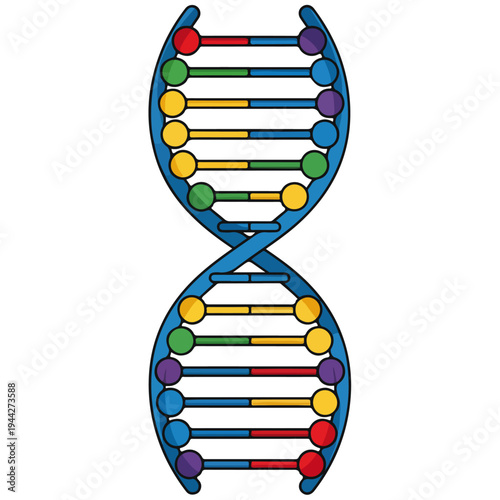 DNA Helix Colorful Cartoon Biology Vector Illustration
