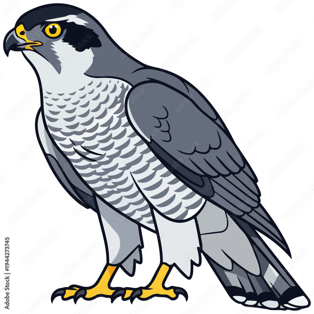 Fototapeta premium Flat Cartoon Peregrine Falcon Vector Illustration