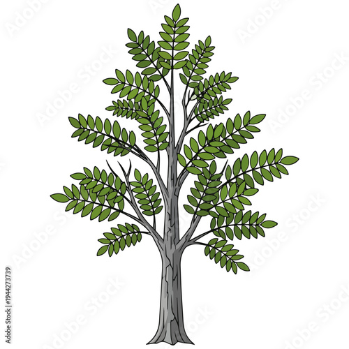 Flat Cartoon Green Leaf Deciduous Tree Vector Illustration