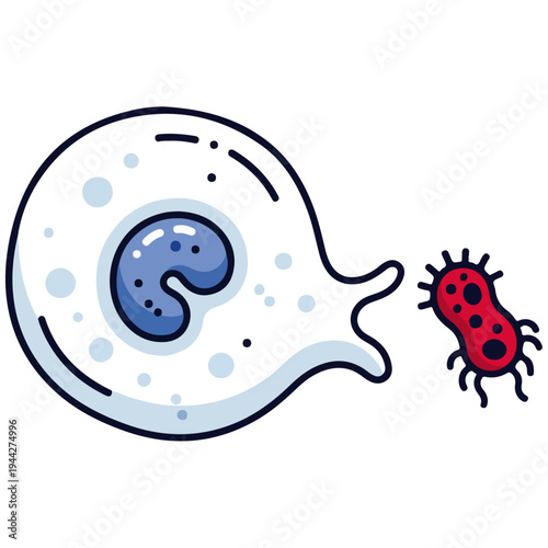 White Blood Cell And Bacterium Flat Line Art Science Vector Illustration