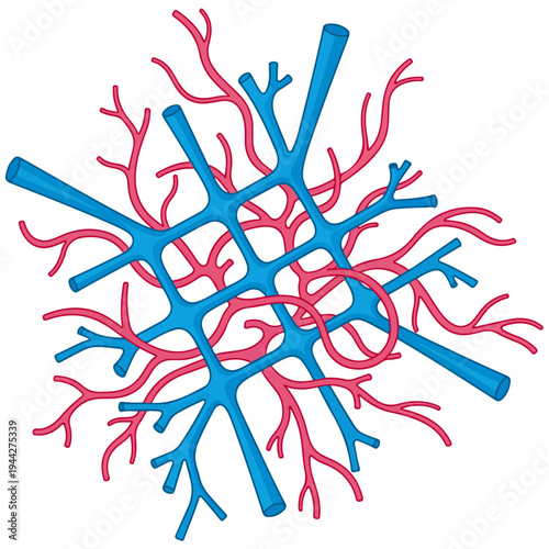 Abstract Blue Pink Branching Vascular Network Vector Illustration