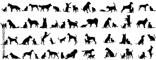 Large collection of dog and cat silhouettes in different breeds and active poses for pet care and animal design projects