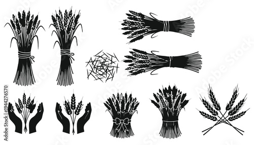 Wheat vector illustrations in black and white for design and decoration