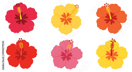 Hibiscus Flowers Image, Photography, Colorful Floral Design, Tropical Bloom, Botanical Beauty