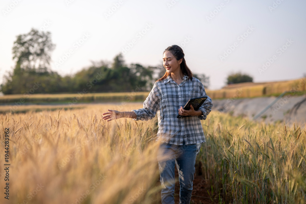 Fototapeta premium Woman farmer walking analyzing wheat crop with tablet