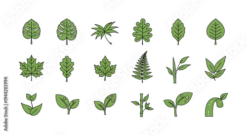 Collection of various green leaf illustrations representing nature and botany