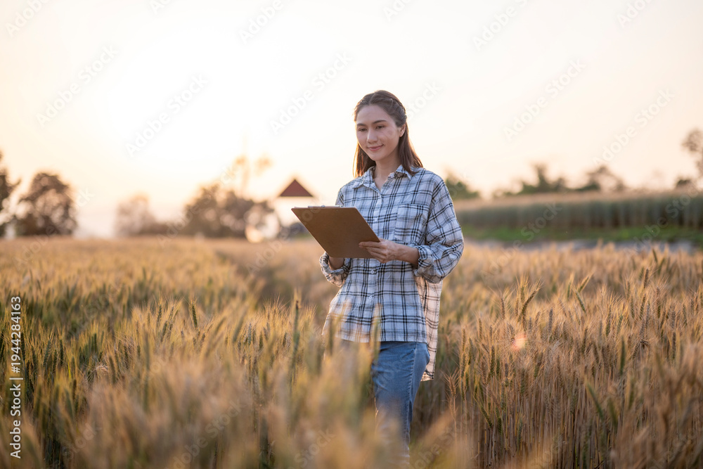 Obraz premium Asian female agronomist checking growth in a wheat field