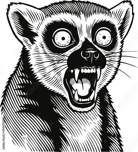 Angry lemur with open mouth showing sharp teeth and wide eyes detailed black and white illustration