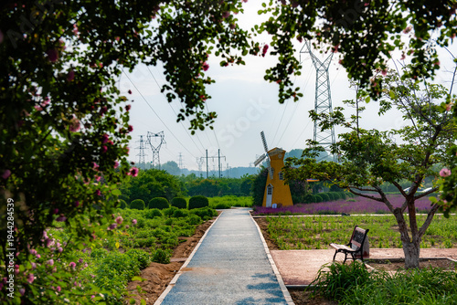 Urban Green Space: Daily Scenery of Park Paths and Nature Symbiosis
