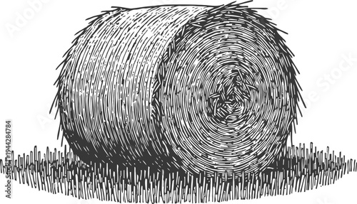Round hay bale on grass field detailed vintage black and white engraving of rolled straw for livestock feed