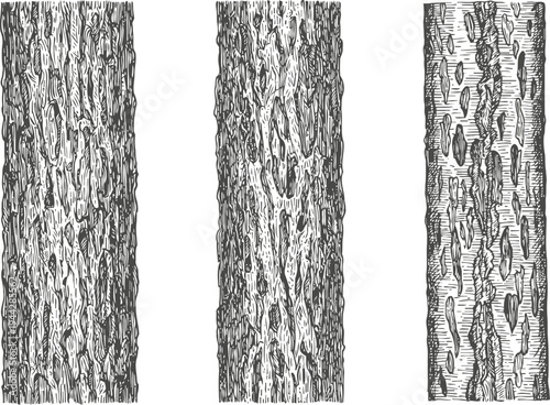 detailed hand drawn tree bark textures set of natural wood patterns with rough, cracked, and peeling surface designs