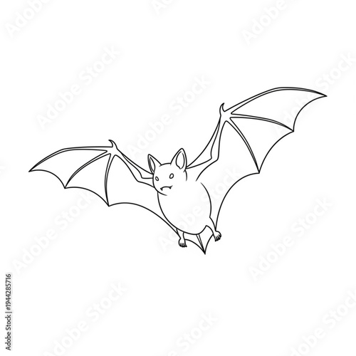 Flying Bat with Outstretched Wings in Air.