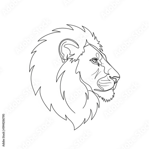 Lion Head Outline Illustration.
