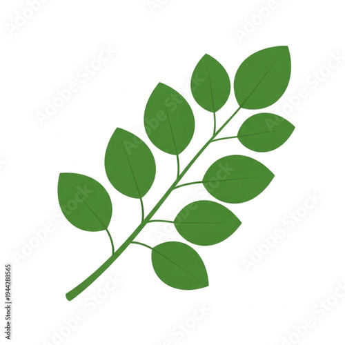 Green Leaves on Stem Illustration.