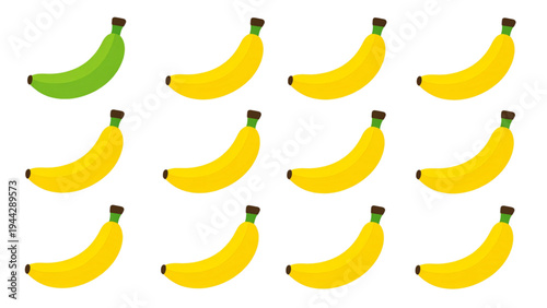 Set of banana icons showing different ripeness stages. Simple vector illustrations for fruit, healthy food, and diet concepts. Flat style for web, apps, and presentations on white background