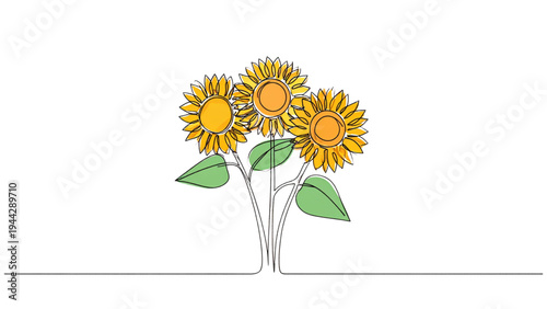 Continuous line art drawing of three sunflowers with bright yellow centers, summer, floral, and botanical vector illustration set