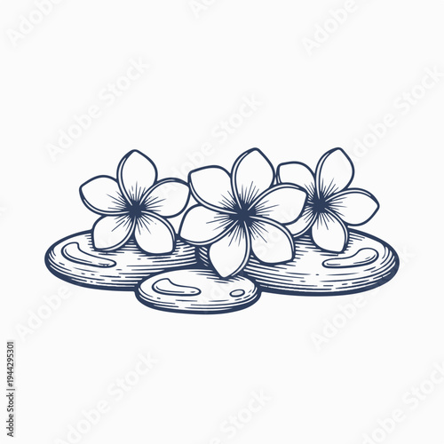 Frangipani flowers on wet stones. Vintage style flat vector illustration. Spa and wellness concept