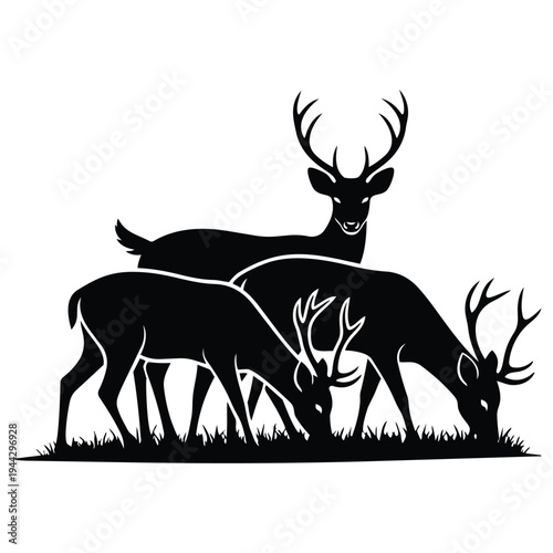 Buck and doe deer grazing in field silhouette vector showing wild animals standing on grass for nature hunting design