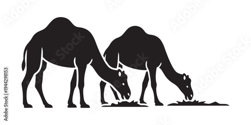 Camel grazing silhouette icon desert livestock animal vector illustration
