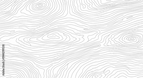 Abstract pattern of light gray contour lines resembling wood grain on a white background, creating a minimalist and organic texture.