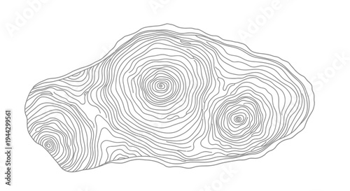 Abstract topographic map illustrating undulating contours and circular patterns across an irregular shape.