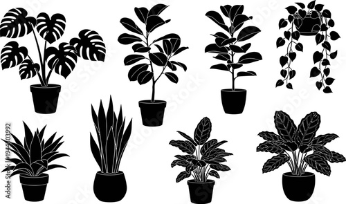 set of various houseplants in pots for decoration and interior design