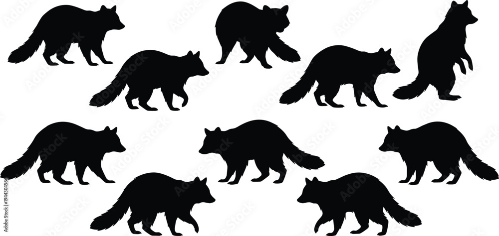 Fototapeta premium Black silhouette illustration of nine raccoons in walking, standing, and crouching poses, ideal for wildlife art, animal design, education, and decorative projects