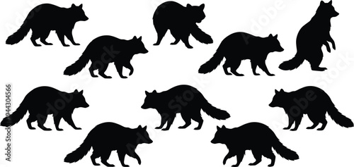 Black silhouette illustration of nine raccoons in walking, standing, and crouching poses, ideal for wildlife art, animal design, education, and decorative projects