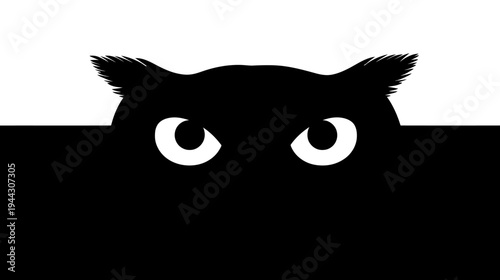 A minimalist illustration features a black owl face with white eyes emerging from a split, black/white frame