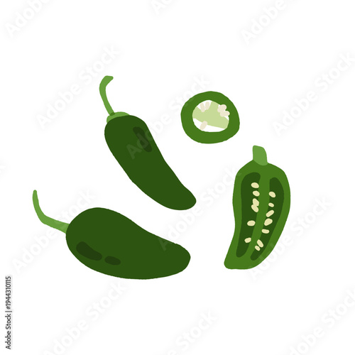 Pepper variety set. Bell, chili, jalapeno, habanero, banana, poblano, cayenne, sweet pepper types. Vegetable collection hand drawn vector illustration