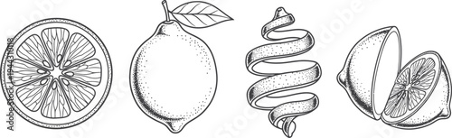 Hand drawn black and white sketch of a pear and apple fruit vector illustration icon design featuring a leaf symbol for a sweet nature diet