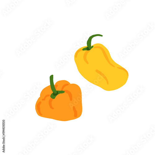 Pepper variety set. Bell, chili, jalapeno, habanero, banana, poblano, cayenne, sweet pepper types. Vegetable collection hand drawn vector illustration