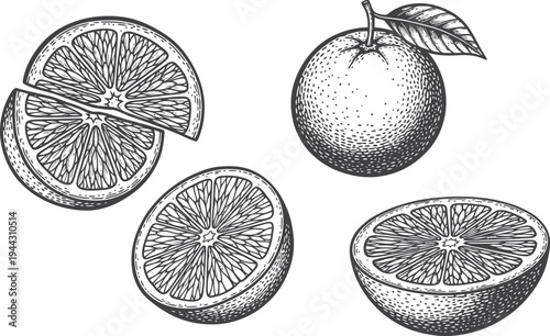 A seamless vector pattern illustration featuring a healthy set of fresh fruits and vegetables like sliced lemon, lime, orange, and juicy kiwi for a ripe citrus food design rich in vitamins