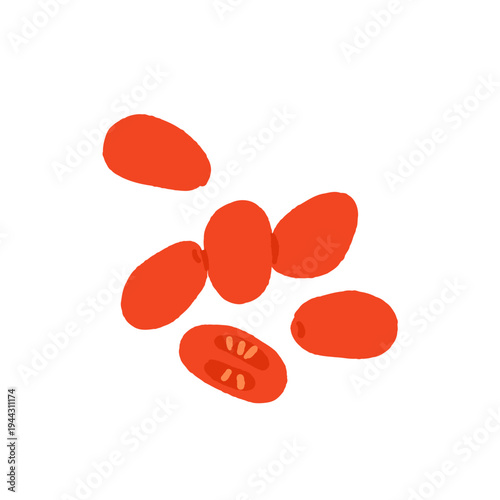 Heirloom Tomato Variety Set. Cherry, Beefsteak, San Marzano, Yellow Pear, Green Tomato, Seedling, Plant. Garden Vegetable Collection Hand Drawn Vector Illustration