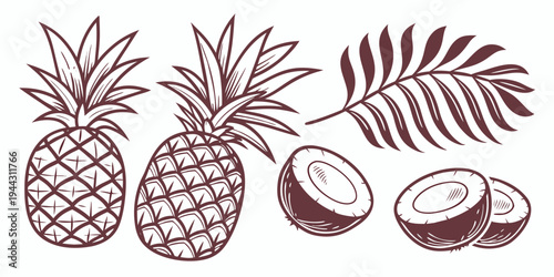 Fresh pineapple fruit with leaves and sliced pieces on a white background