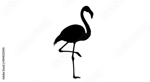 Tableau sur toile Black silhouette of a flamingo standing.