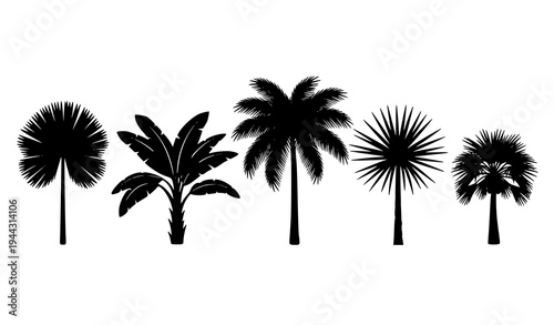 Minimalist black and white tropical palm trees silhouette vector set isolated on white background