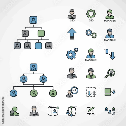 Business organization management team structure.