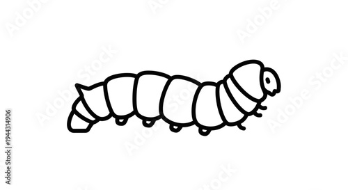 Caterpillar insect with many legs crawling.