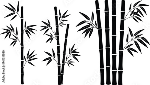 Black bamboo silhouette set with stalks and leaves in Japanese zen style isolated on white for nature design