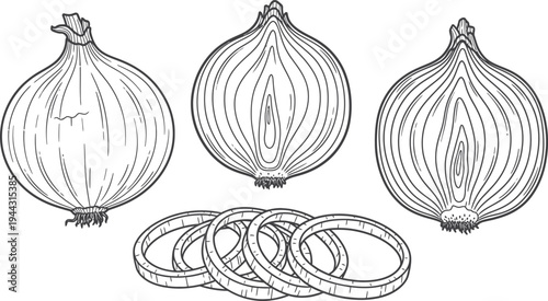 Fresh group of raw red and yellow onion bulbs with garlic, featuring organic vegetable slices and halves isolated on white as a healthy food ingredient vector illustration