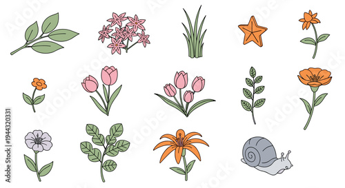A collection of hand-drawn floral elements and a snail, featuring a modern, minimalist style for nature-themed designs